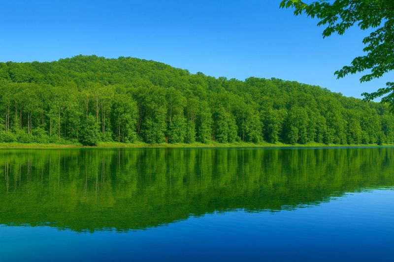 Best Bathtub Installation pros in North Ridgeville, OH