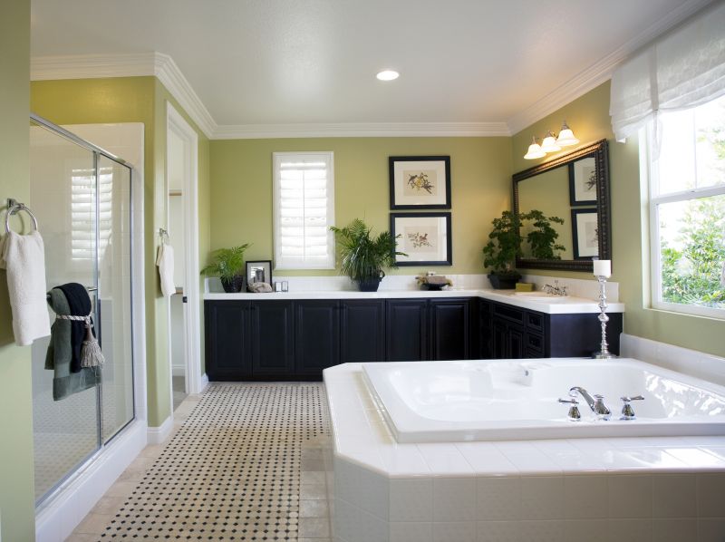 Elegant Tub and Surround